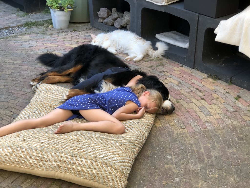 kinderen en een hond