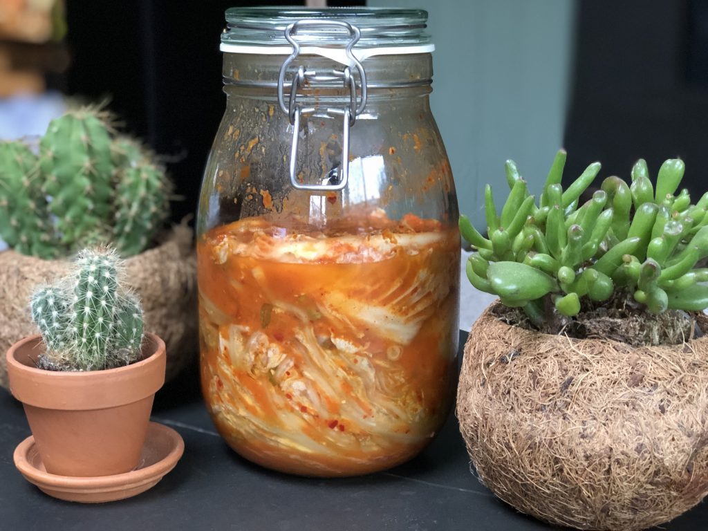 recept zelf Koreaanse kimchi maken