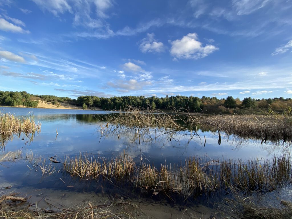 Zo mooi het Nederlandse landschap