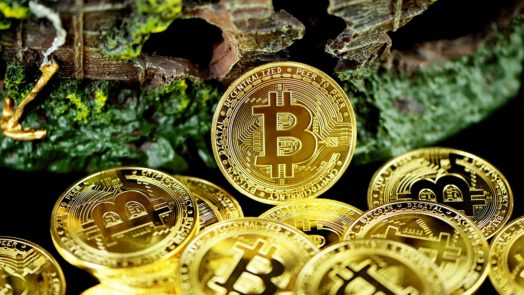 inversteren in cryptocurrency een slimme zet?