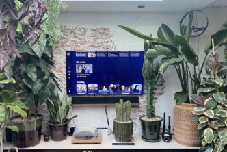 Televisie met NLZiet erop. en heel veel planten eromheen.